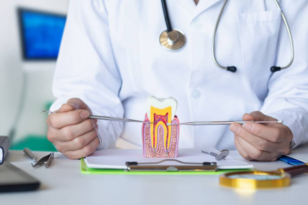 Best Broken Tooth Emergency  in Whitewater, KS